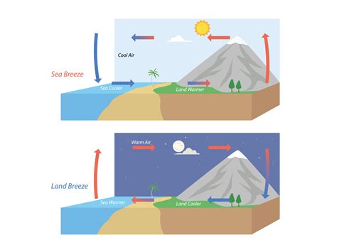 Diagram showing circulation of sea and land breeze illustration 11490578 Vector Art at Vecteezy