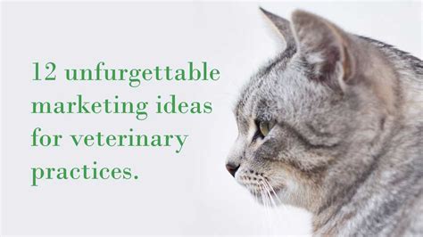 12 Unfurgettable Veterinary Marketing Ideas for Practices & Vet Clinics | Pens.com Blog