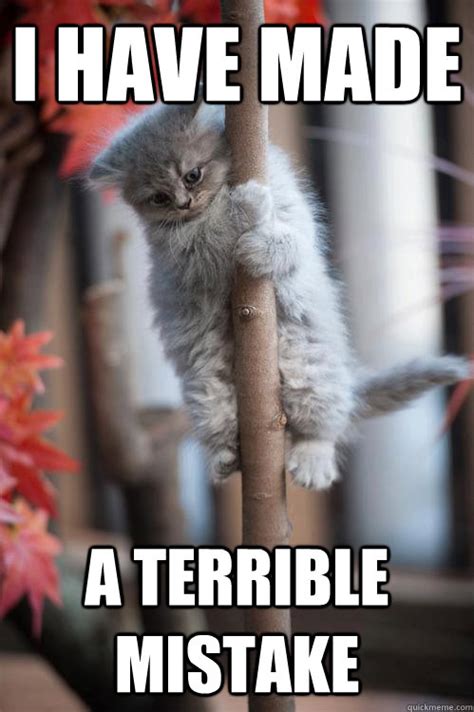 I have made A terrible mistake - Sudden realization kitten - quickmeme