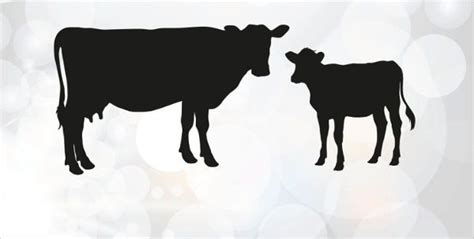 Cow Calf Silhouette