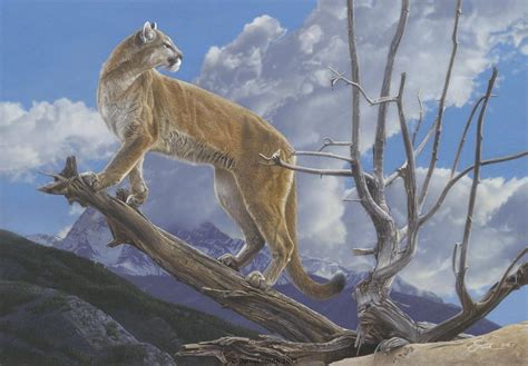 The Official Website of Wildlife Artist and African Animal Painter Dan Smith