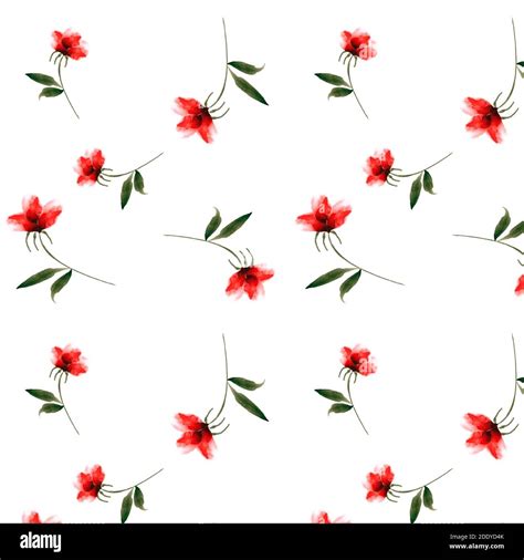 123 Background Flower Red White For FREE - MyWeb