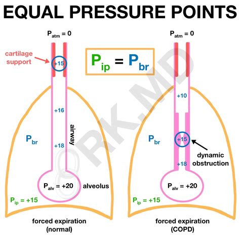 Equal Pressure Point In Lung Physiology | RK.MD