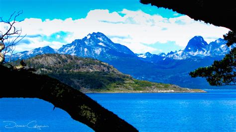 Ushuaia Tierra del Fuego National Park, Argentina