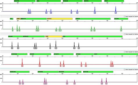 DNA profile with 24 genetic markers