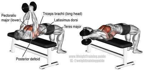 Lat Pushdown VS Dumbbell Pull-Over | Muscular Strength