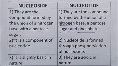 Nucleoside Vs Nucleotide