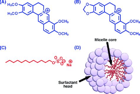 Chemical structure of (A) PAL, (B) BER, (C) sodium dodecyl sulfate ...