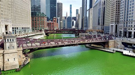 Chicago Green River 2025 - Rose Bower