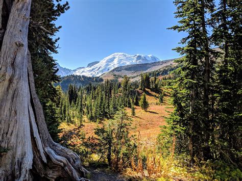 966 best Mount Rainier National Park images on Pholder | Earth Porn, Most Beautiful and Nature ...