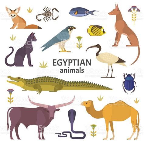 Animals In Ancient Egypt