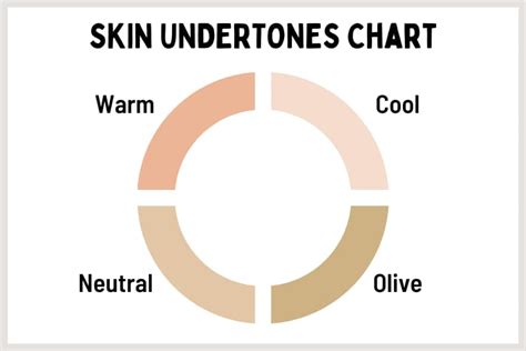 Skin Tones and Skin Undertones Chart (Warm, Cool, Neutral, Olive)