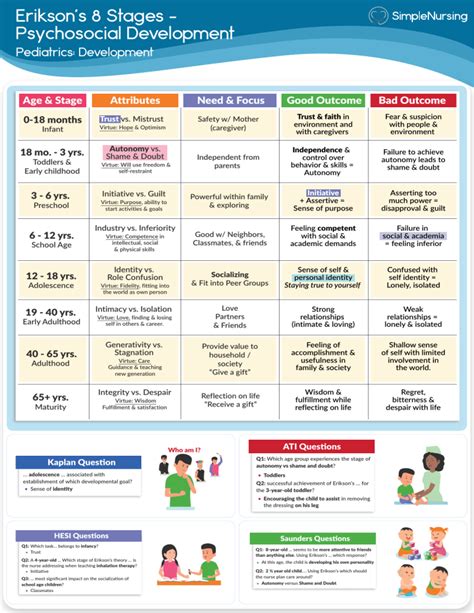 1. Basic Chart - Erikson's 8 Stages