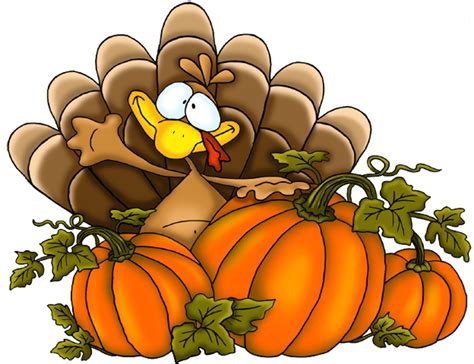 Thanksgiving Turkey PNG Clipart | Gallery Yopriceville - High-Quality ...