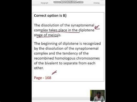 Dissolution of the synaptonemal complex occurs during A Zygotene B ...