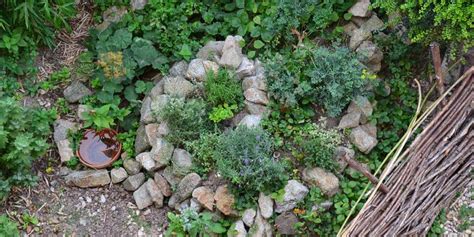 Create a Herb Spiral in Your Own Garden: Benefits, Placement, How-To