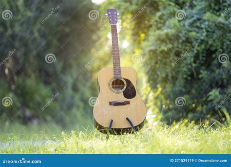 Acoustic Guitar Outdoors on Greenery Background. Concept of Calm Music ...