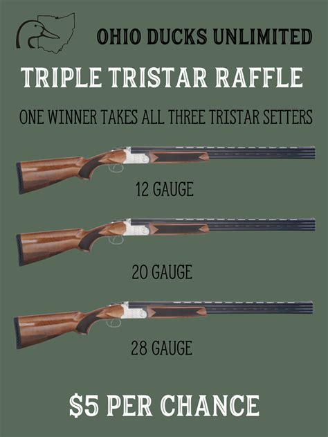 Ducks Unlimited: Ohio Ducks Unlimited Triple Tristar Raffle - Array, OH