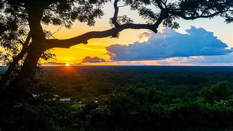 Sunset in Ghana, sun, tree, africa, clouds, landscape, sky, HD wallpaper | Peakpx