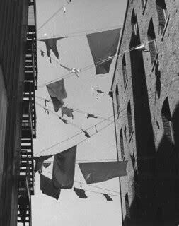 Laundry in Post Alley, 1978 | Item 33321, Pike Place Market … | Flickr