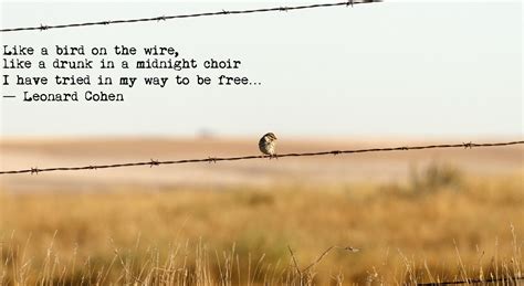 "Like a bird on the wire, like a drunk in a midnight choir I have tried in my way to be free ...