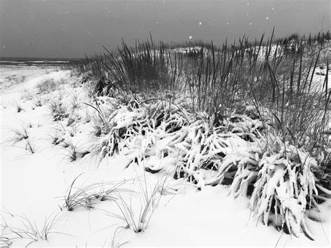 Indiana Dunes National Park — Visit Miller Beach | Gary Indiana