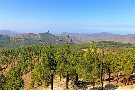 7-Hours Private Tour Volcanoes and Wine Region in the Canary Islands 2024 - Gran Canaria