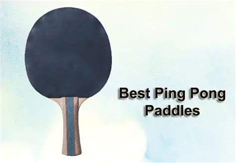 Guide for Choosing The Best Ping Pong Paddle - Sports Websites