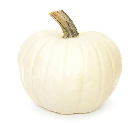 9 Heirloom Pumpkin Varieties We Love for Fall - Organic Authority