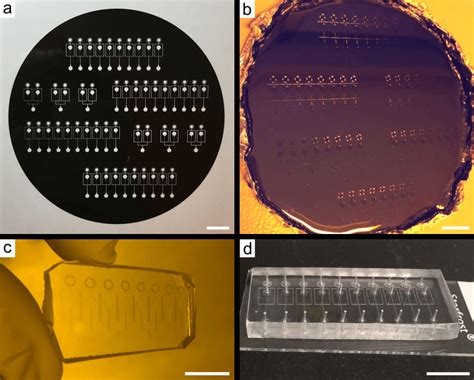 4: Examples of photo-and soft lithography techniques. (a) Customized... | Download Scientific ...