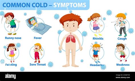 Common cold symptoms cartoon style infographic illustration Stock ...