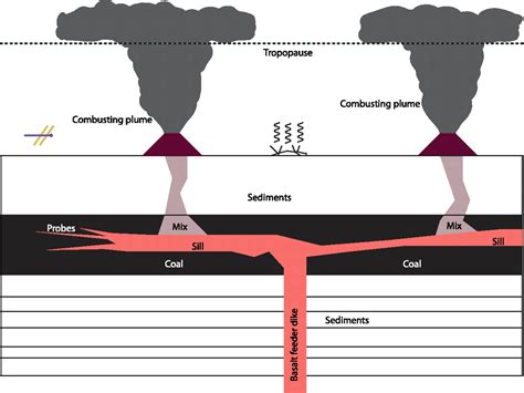 Permian Triassic Extinction