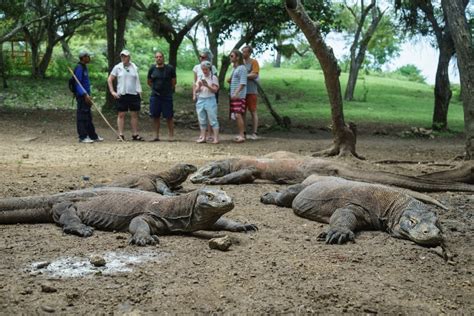 Pulau Komodo, Tempat Wisata Eksotis di Nusa Tenggara Timur - Nasional Katadata.co.id