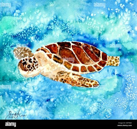 baby sea turtle watercolor painting of sea turtles Stock Photo - Alamy