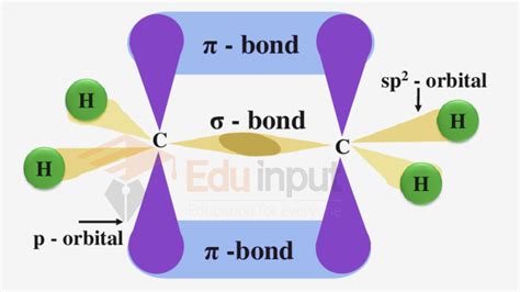 Sp2-hybridization, definition, explanation, examples and significance