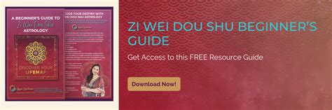 Understanding Your Zi Wei Dou Shu Stars Meaning and Message