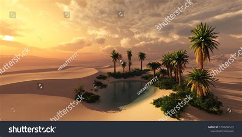 82,383 Oasis in the desert Images, Stock Photos & Vectors | Shutterstock