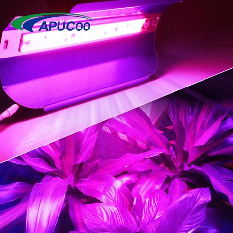 LED Grow Light Full Spectrum 30W 50W 80W Phyto Lamp COB LED Growth ...