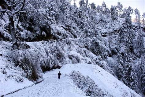 Kalpa in Himachal Wrapped in Snow Blanket | Winter 2019 in Images ...