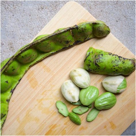 Petai (Stink) Beans (Parkia Speciosa): Benefits, Nutrition Facts, Side Effects - Health Guide Net