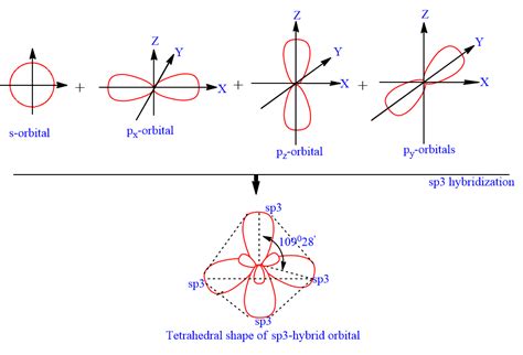 Hybridization: Definition, types and examples - Chemistry Notes