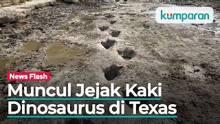 Jejak Kaki Dinosaurus Raksasa Muncul di Dasar Sungai ya... | Doovi