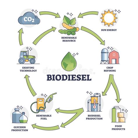 Biodiesel Fuel Life Cycle Explanation with All Usage Stages Outline ...