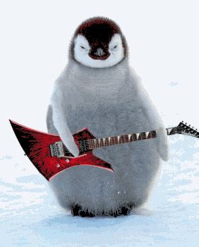 Penguins friggin' rock | Lustige tiere, Tiervideos, Lustige tierbilder