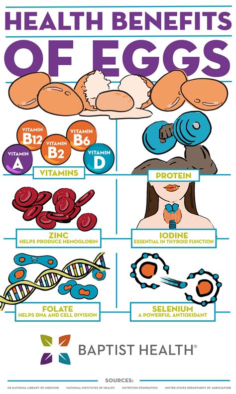 Health Benefits of Eggs - Baptist Health