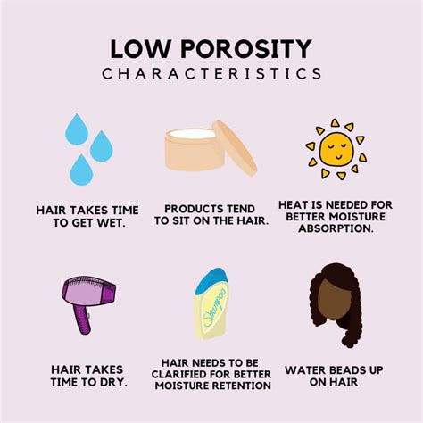 Share 71+ low porosity hair characteristics super hot - in.eteachers