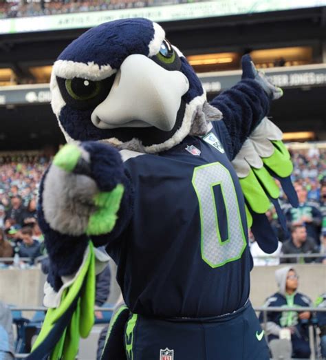 Blitz the Seahawk | Visit Seattle