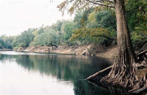 Exploring the Nature of Florida: Suwannee River State Park