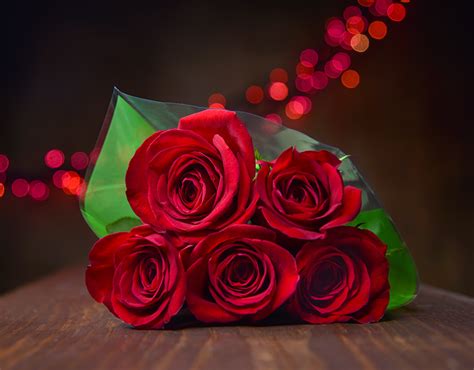 Romantic Red Roses on Behance