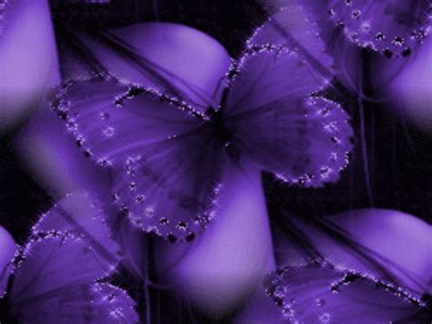 🔥 Download Purple Butterfly Wallpaper by @ashleer40 | Purple Butterflies Wallpapers, Purple ...